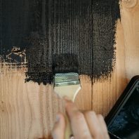 Moose S peinture naturelle