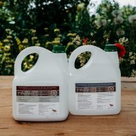Pansar traitement hydrofuge pour bois