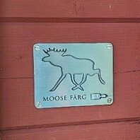 Vignette Moose Färg