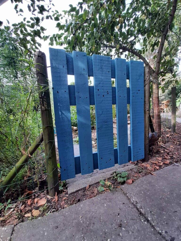 porte de jardin en bois bleue