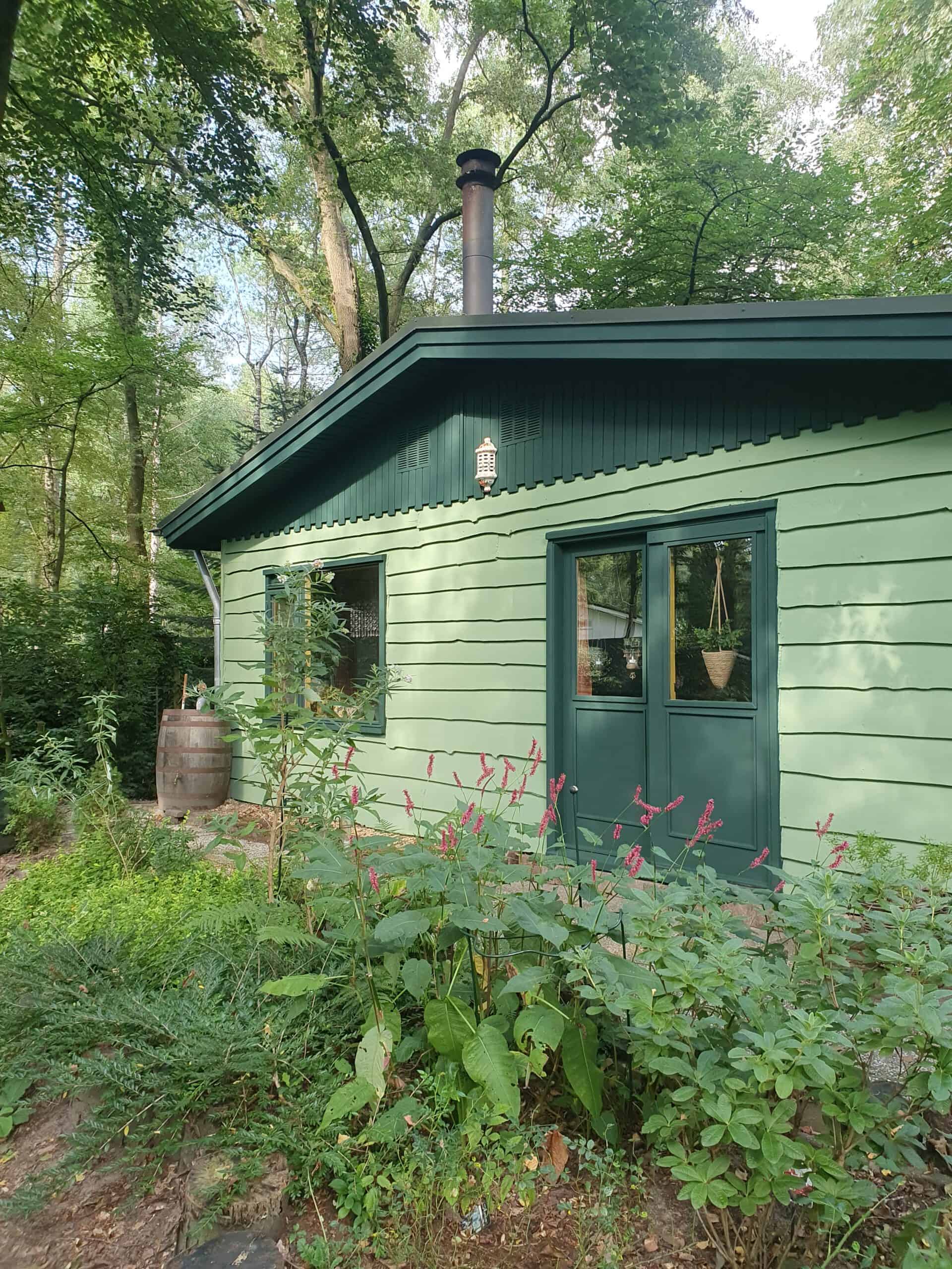 peindre une maison de jardin en vert