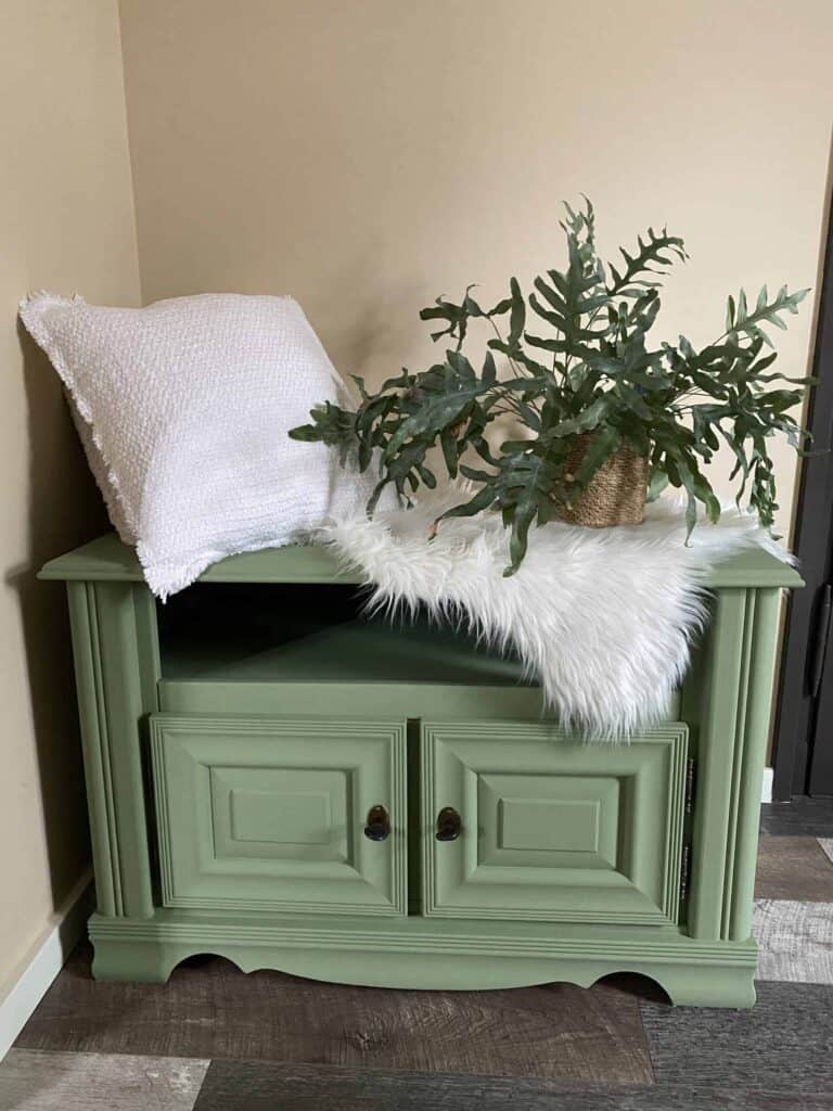 Cabinet verte