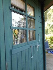 Abri de jardin vert foncé