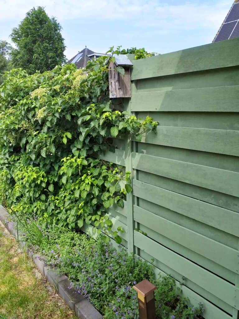 clôture vert suédois