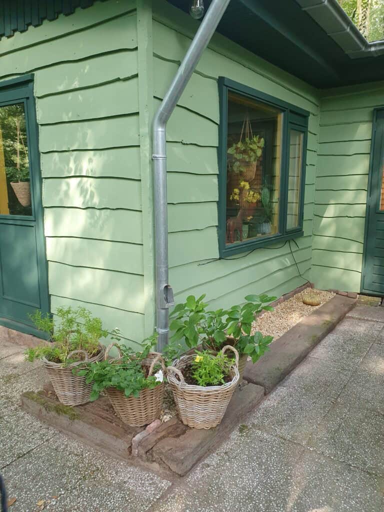 maison tachée de vert